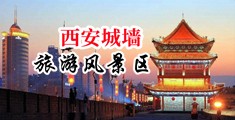美女被操逼小穴视频免费观看中国陕西-西安城墙旅游风景区